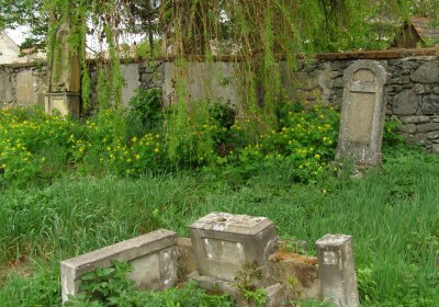 Kmínek Michal, 2020