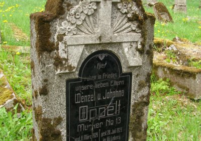 Kmínek Michal, 2020