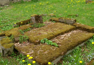 Kmínek Michal, 2020