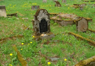 Kmínek Michal, 2020