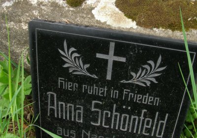 Kmínek Michal, 2020