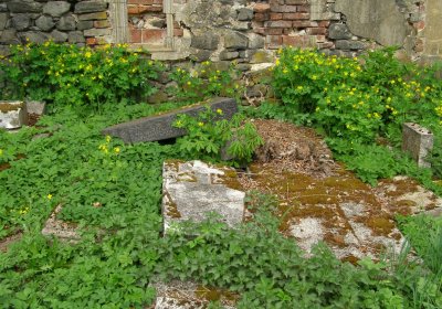 Kmínek Michal, 2020