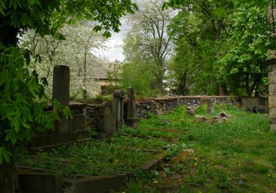 Kmínek Michal, 2020