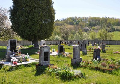 Touchořiny, Omnium, 2020