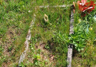 Touchořiny, Omnium, 2020