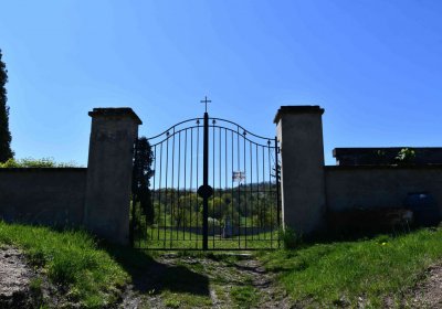 Touchořiny, Omnium, 2020