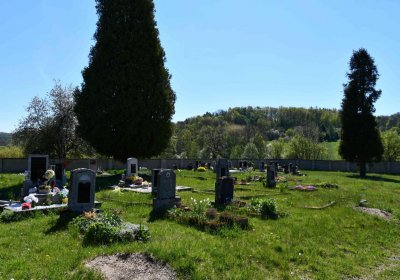 Touchořiny, Omnium, 2020