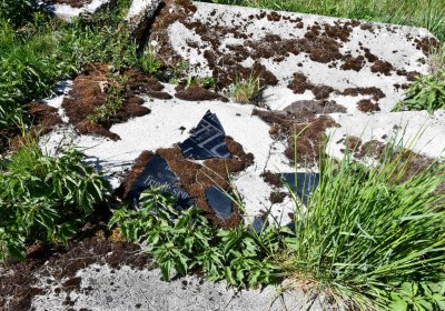 Touchořiny, Omnium, 2020