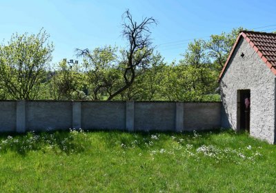 Touchořiny, Omnium, 2020