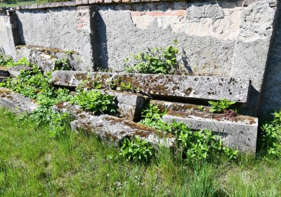 Touchořiny, Omnium, 2020