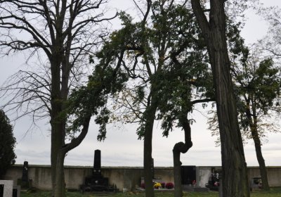 Ječovice obecní, Omnium, 2020