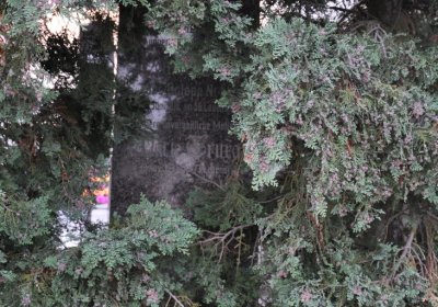 Hrušovany, Omnium, 2020