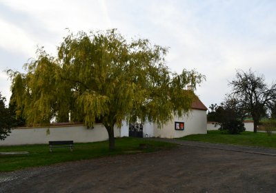 Hrušovany, Omnium, 2020