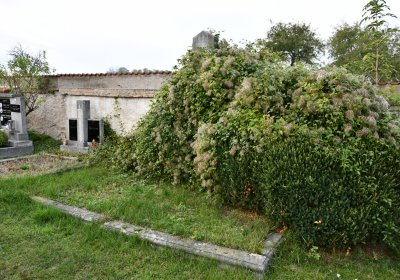 Hrušovany, Omnium, 2020