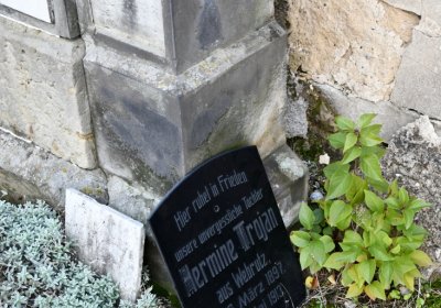 Hrušovany, Omnium, 2020