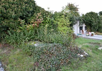 Hrušovany, Omnium, 2020