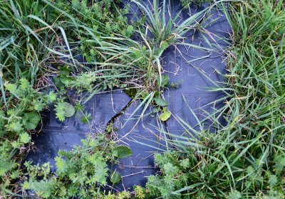 Hrušovany, Omnium, 2020