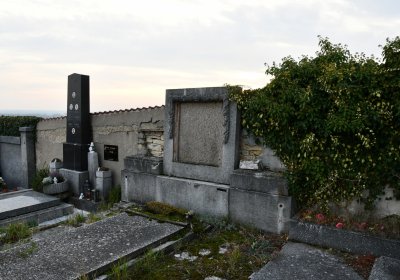 Hrušovany, Omnium, 2020