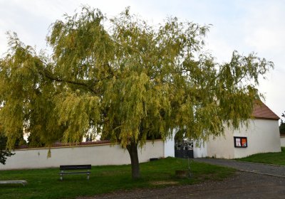 Hrušovany, Omnium, 2020