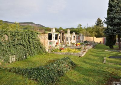 Litochovice nad Labem, Omnium, 2020