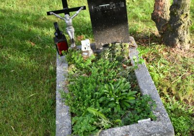 Litochovice nad Labem, Omnium, 2020