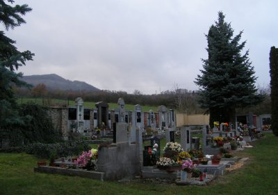 Kmínek Michal, 2020