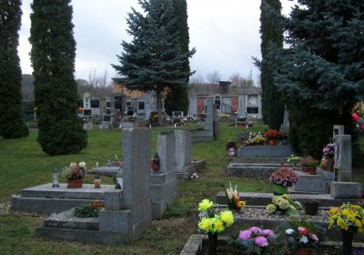 Kmínek Michal, 2020