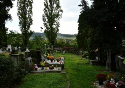 Prackovice nad Labem, Omnium, 2020