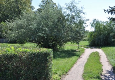 Nové Kopisty, Omnium, 2020