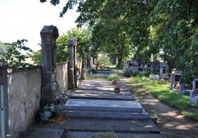 Nové Kopisty, Omnium, 2020