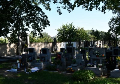 Nové Kopisty, Omnium, 2020