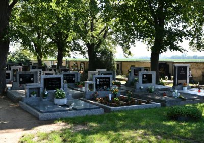 Nové Kopisty, Omnium, 2020