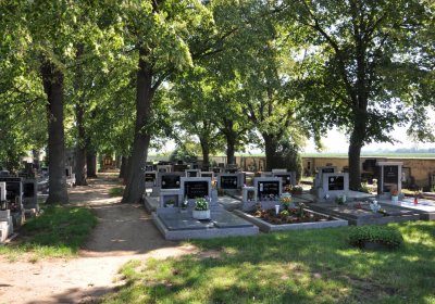 Nové Kopisty, Omnium, 2020