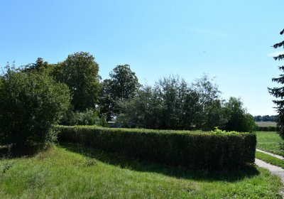 Nové Kopisty, Omnium, 2020