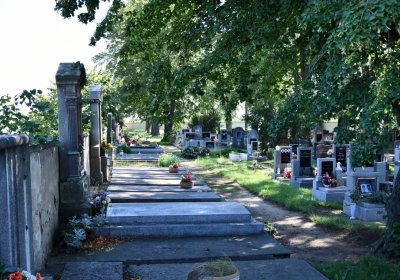 Nové Kopisty, Omnium, 2020