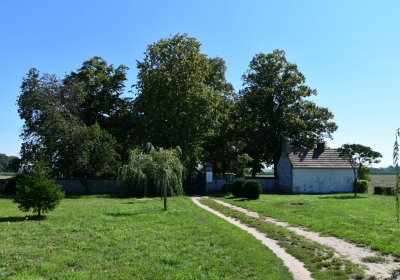 Nové Kopisty, Omnium, 2020