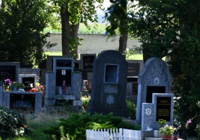 Nové Kopisty, Omnium, 2020