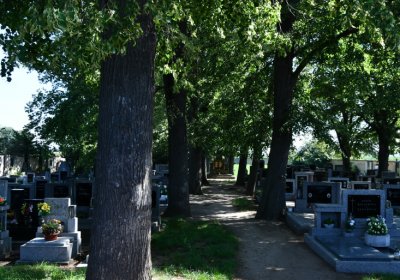 Nové Kopisty, Omnium, 2020