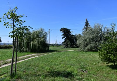 Nové Kopisty, Omnium, 2020