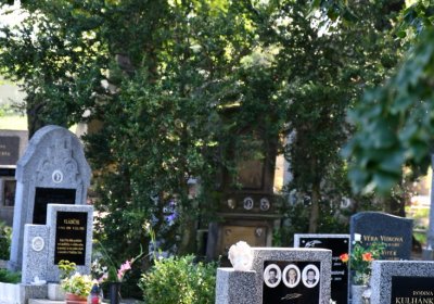 Nové Kopisty, Omnium, 2020