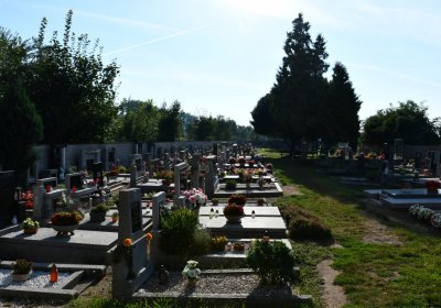 Počaply, Omnium, 2020