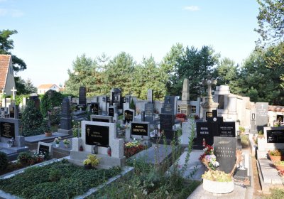 Počaply, Omnium, 2020