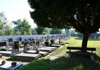 Počaply, Omnium, 2020