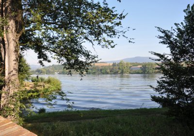 Počaply, Omnium, 2020