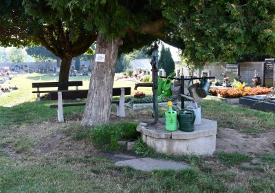 Počaply, Omnium, 2020