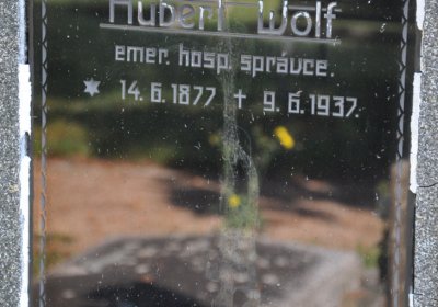 Terezín městský, Omnium, 2020