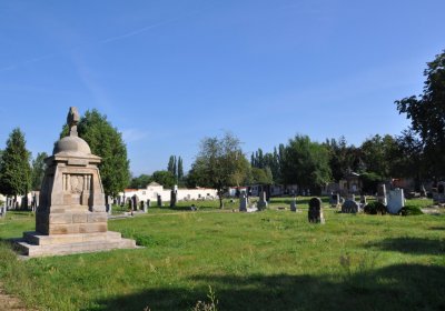 Terezín městský, Omnium, 2020