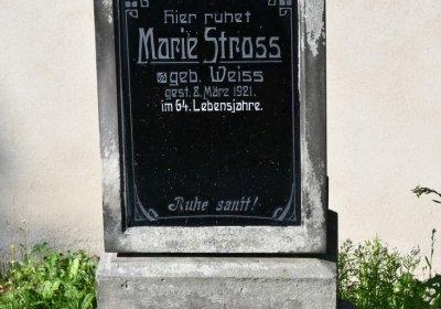 Terezín městský, Omnium, 2020