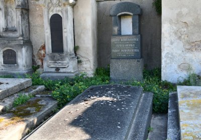 Terezín městský, Omnium, 2020