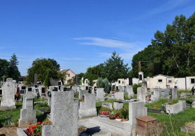 Terezín městský, Omnium, 2020